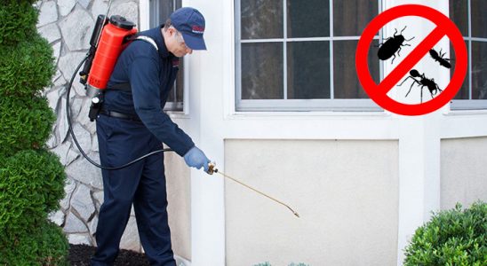 Akçakoca Böcek İlaçlama böcek ilaçlama ve haşere kontrolü — ilaclama-tr.com